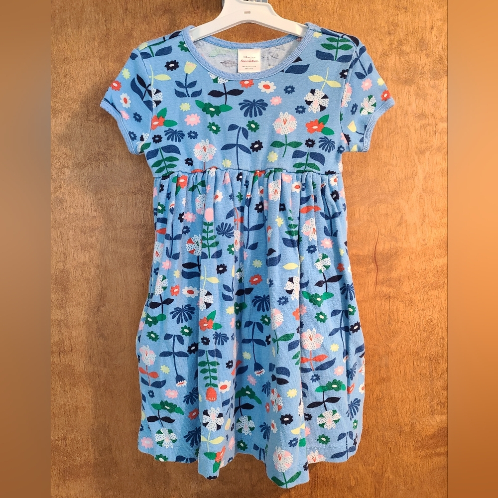 Hanna Andersson Organic Cotton Floral Blue Kids Playground Dress